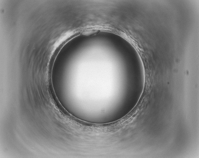 X0000086950008200704231437