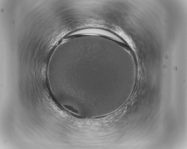 X0000086950009200704231437