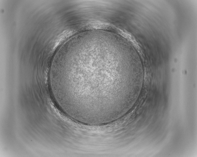 X0000086950010200704231437