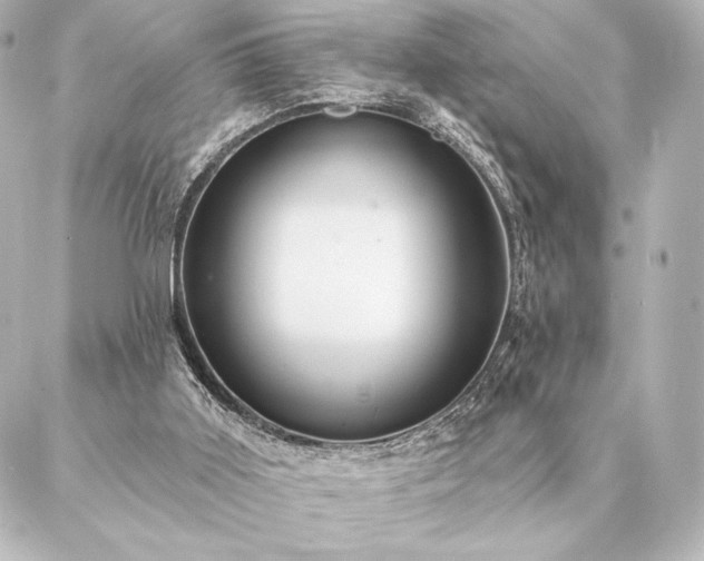 X0000086950011200704231437