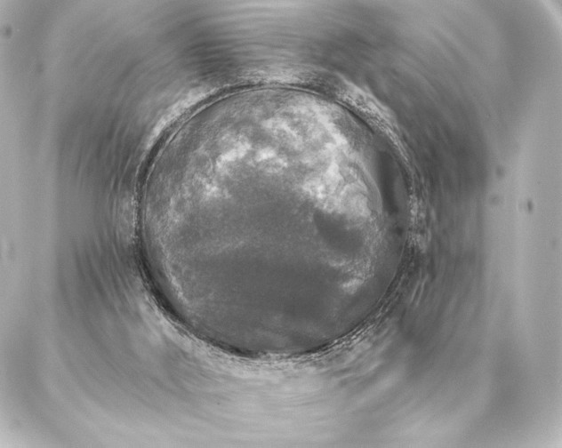 X0000086950012200704231437