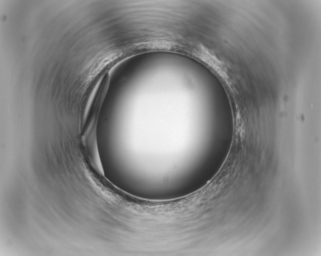 X0000086950013200704231437