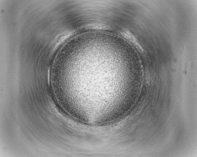 X0000086950014200704231437