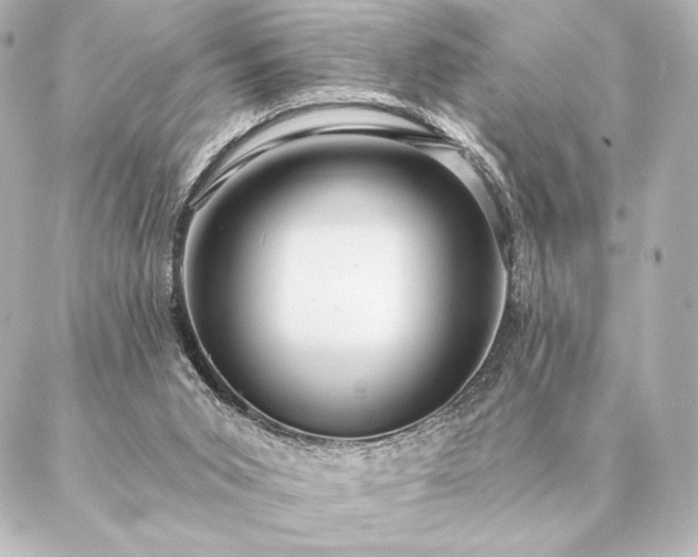 X0000086950015200704231437