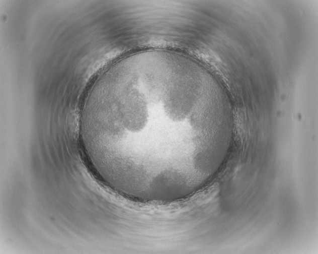 X0000086950016200704231437