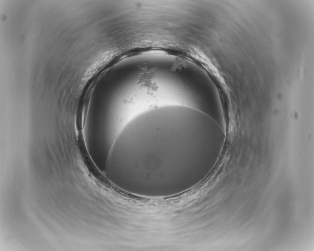 X0000086950019200704231437