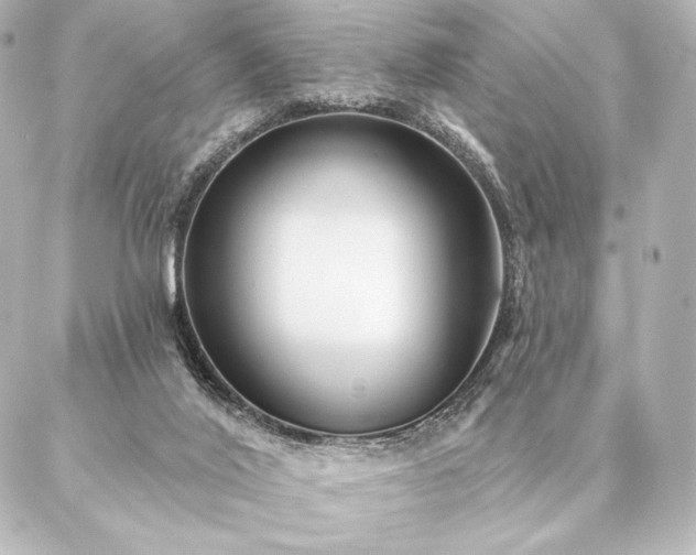 X0000086950020200704231437