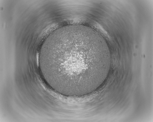 X0000086950022200704231437