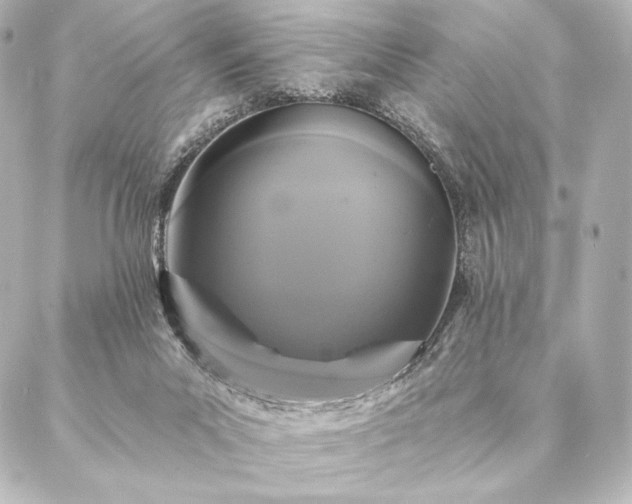 X0000086950023200704231437