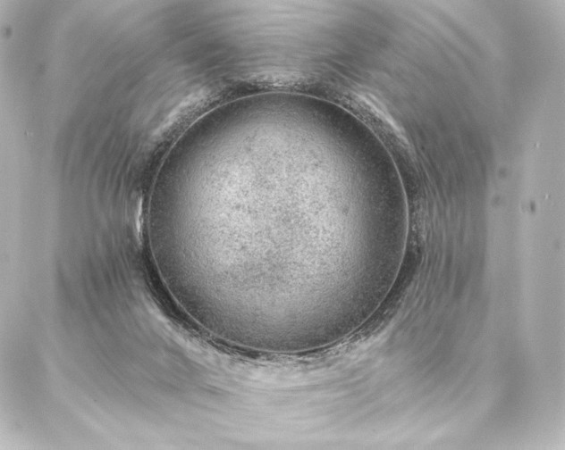 X0000086950024200704231437