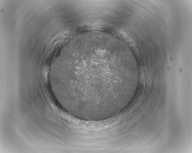 X0000086950026200704231437