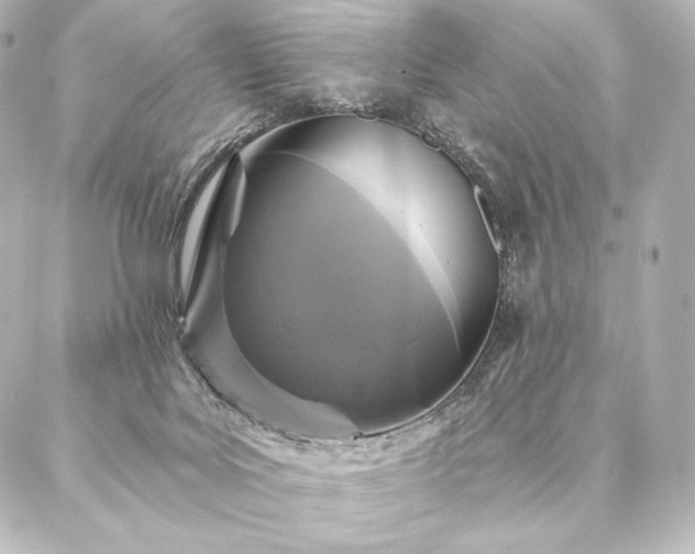 X0000086950027200704231437