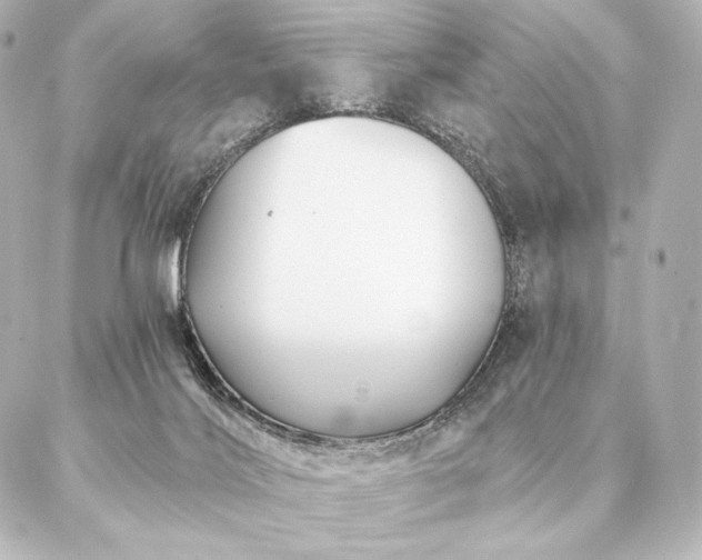 X0000086950028200704231437