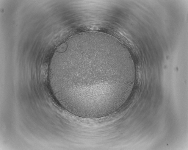 X0000086950030200704231437