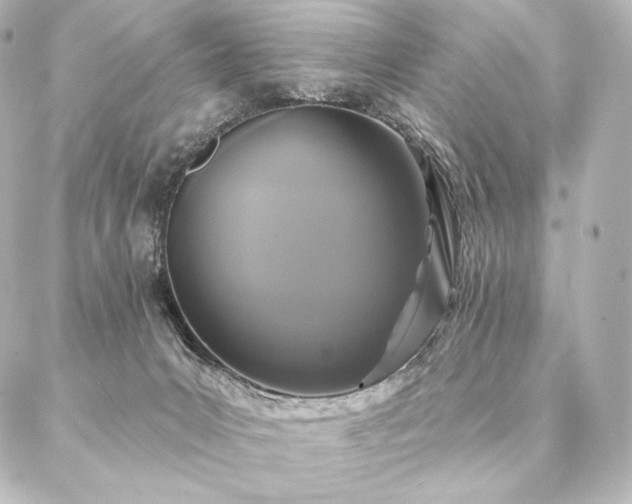 X0000086950031200704231437