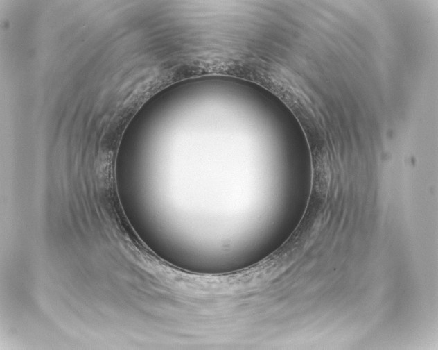 X0000086950034200704231436