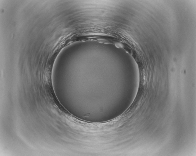 X0000086950035200704231436