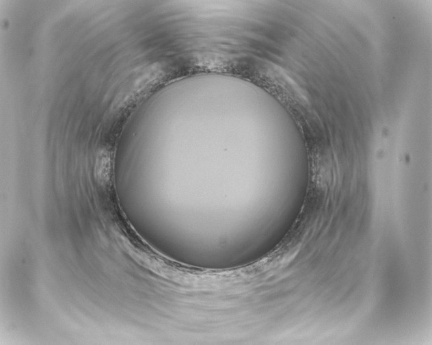 X0000086950036200704231436