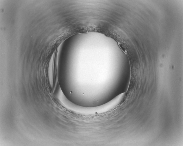 X0000086950037200704231436