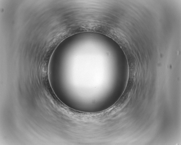 X0000086950040200704231436