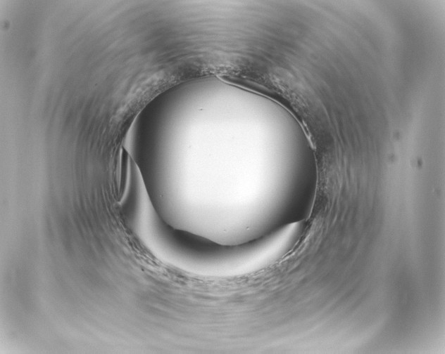 X0000086950041200704231436