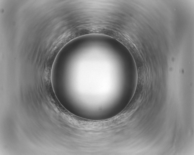 X0000086950044200704231436