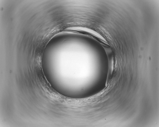 X0000086950045200704231436