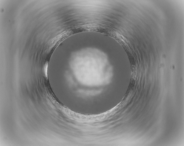 X0000086950047200704231436