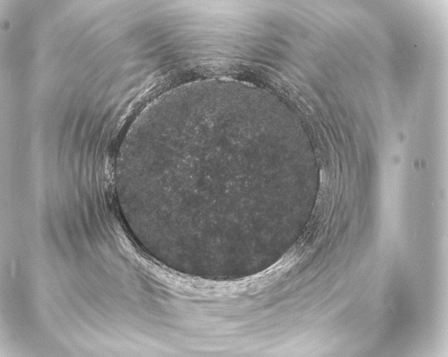 X0000086950048200704231436