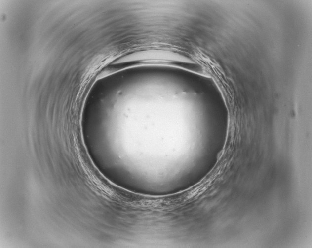 X0000086950049200704231435