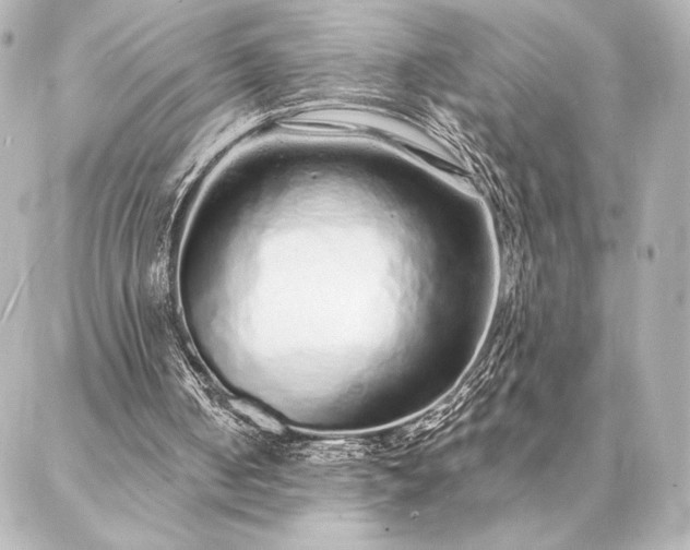 X0000086950050200704231436