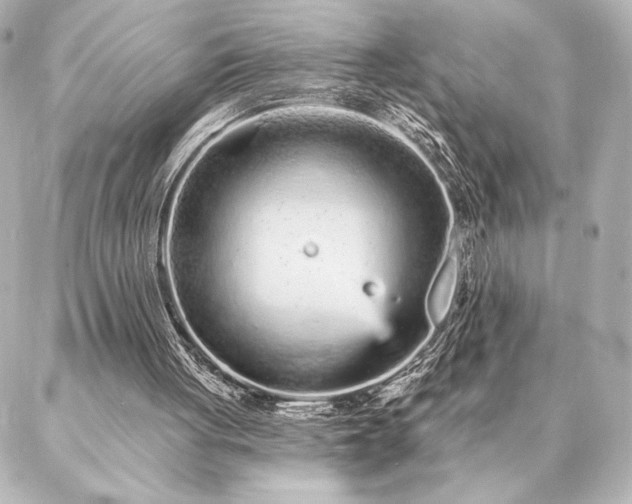 X0000086950051200704231436