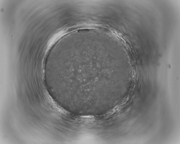 X0000086950053200704231436