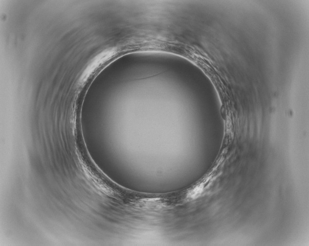 X0000086950054200704231436