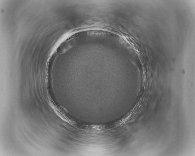 X0000086950056200704231436