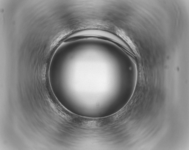 X0000086950058200704231436