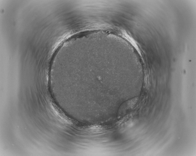 X0000086950059200704231436