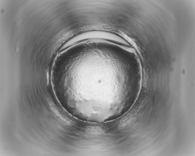 X0000086950061200704231436