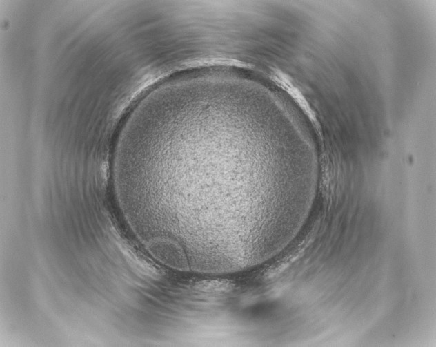 X0000086950063200704231436