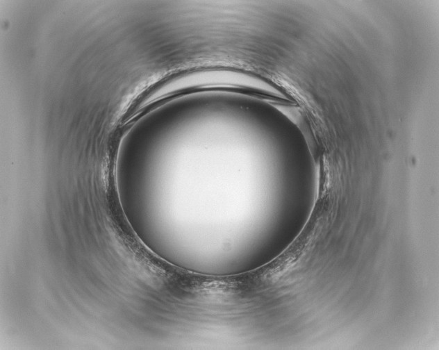 X0000086950064200704231436