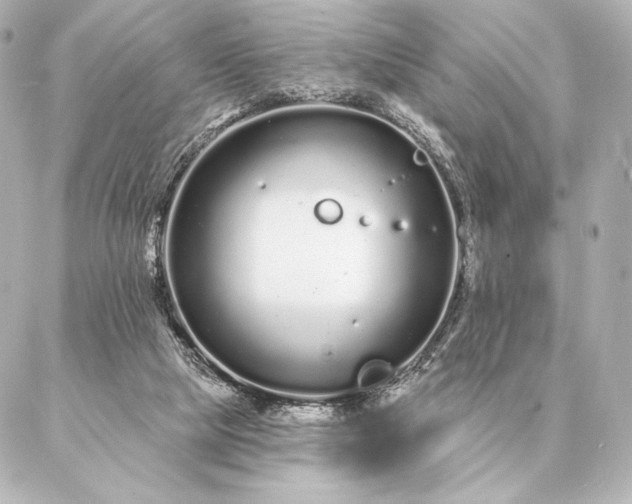 X0000086950065200704231436