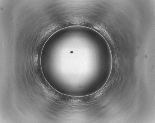 X0000086950066200704231436