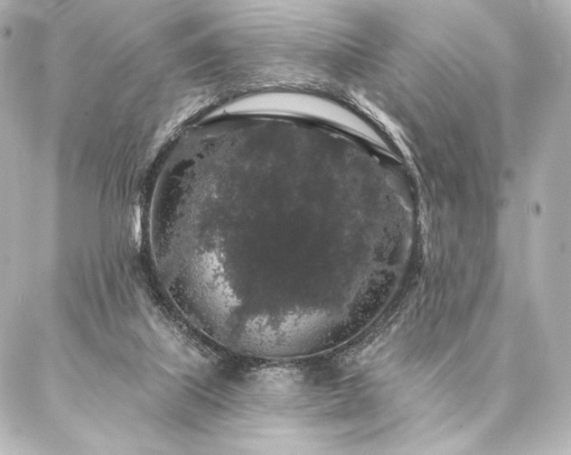 X0000086950067200704231436