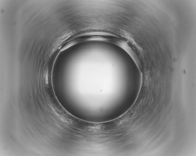 X0000086950068200704231436