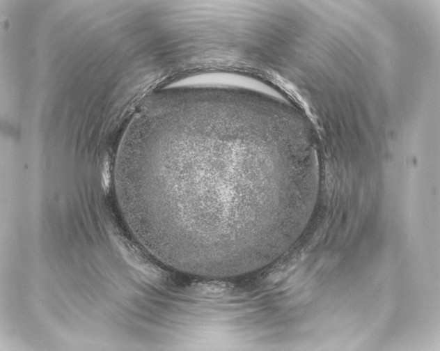 X0000086950069200704231436