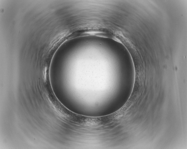 X0000086950070200704231436