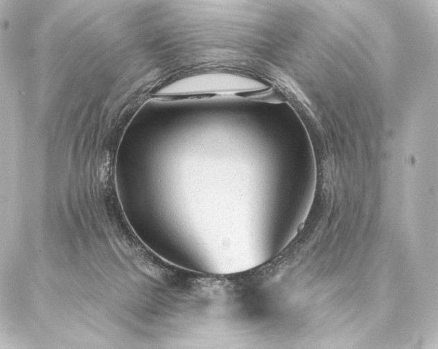 X0000086950073200704231436