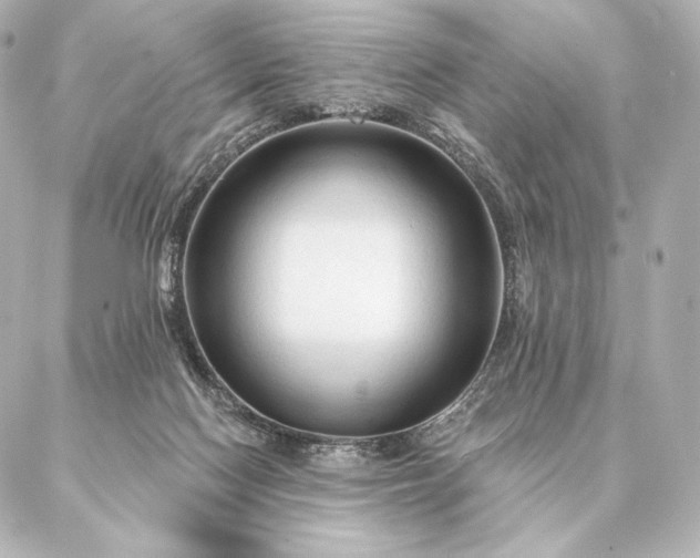 X0000086950074200704231436