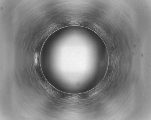 X0000086950075200704231436