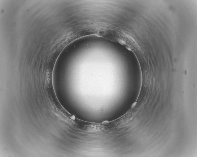 X0000086950077200704231436